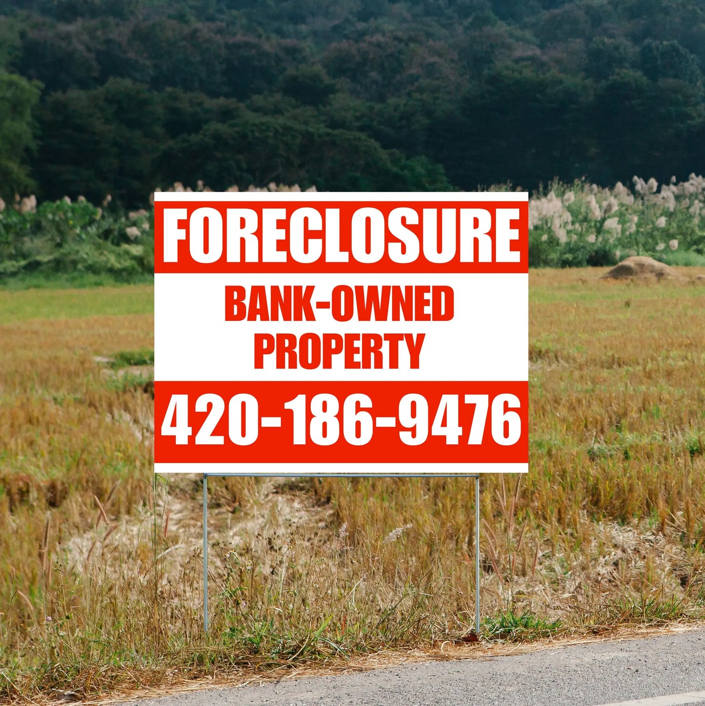 Real Estate - Foreclosure - Bank Owned Property - Plain White Chili Red Design YardSigns.com