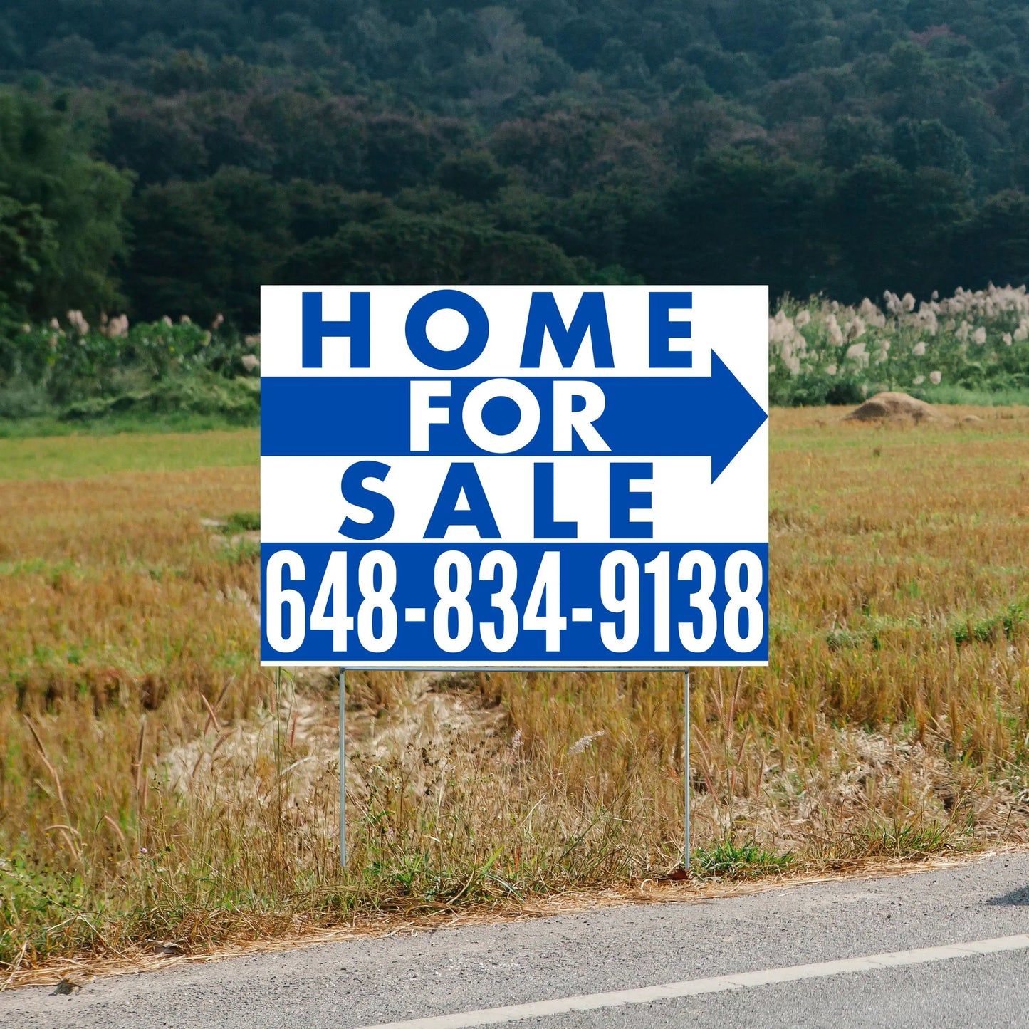 Home Sale Yard Sign - Plain White Blue - Right Arrow Design YardSigns.com