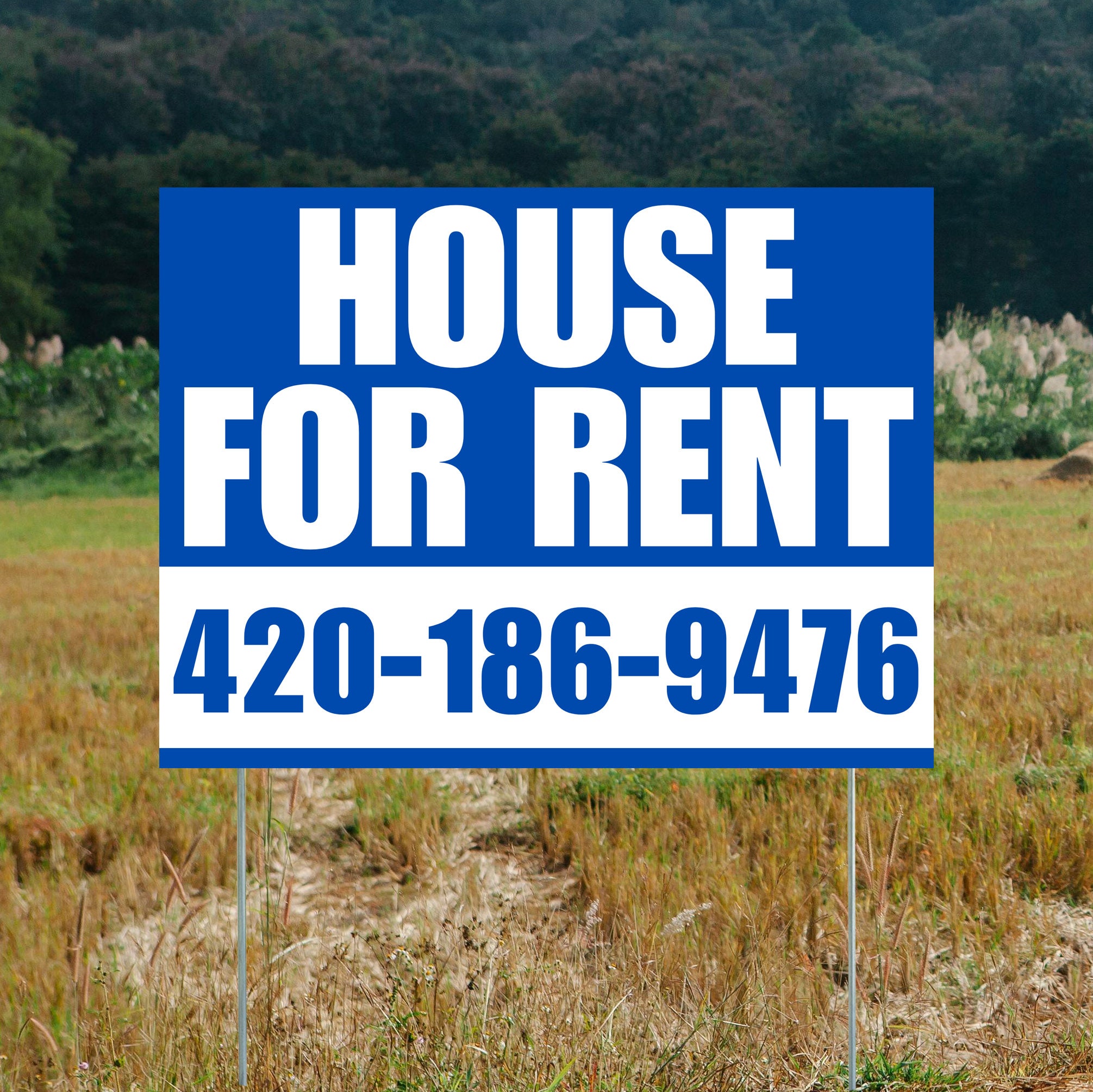 Real Estate - House For Rent - Plain Blue White Design - YardSigns.com