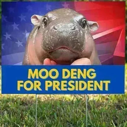 Funny Signs - Moodeng For President - YardSigns.com