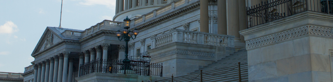 State Political Yard Signs