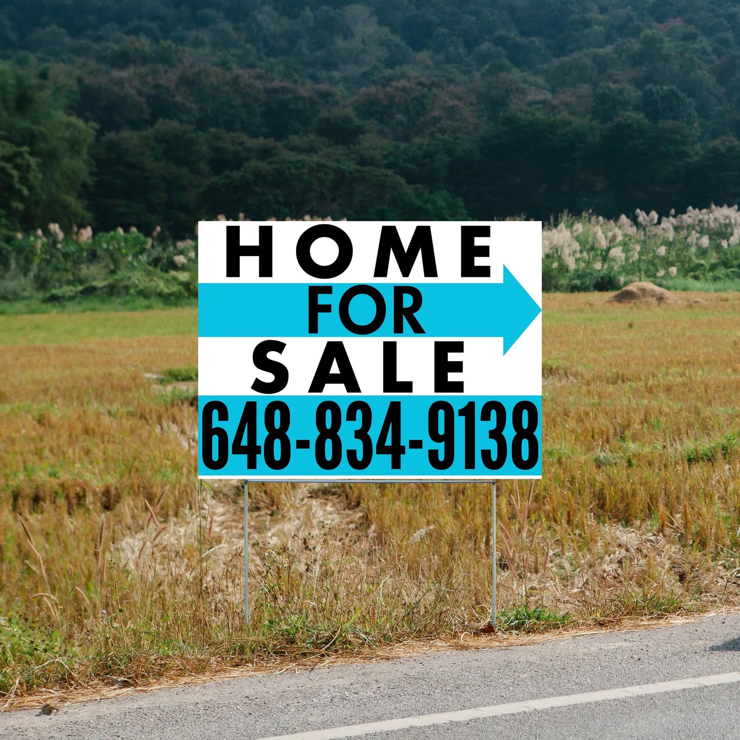 Home Sale Yard Sign - Plain White Aqua Blue - Right Arrow Design YardSigns.com
