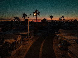 Dark street at dusk with palm trees and a streetlight, evoking a sense of solitude and tranquility.