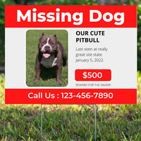 Help Wanted - Missing Dog YardSigns.com