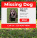 Help Wanted - Missing Dog YardSigns.com