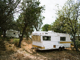 White and gold vintage-style camper trailer parked among trees
