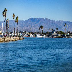 Marina with boats, palm trees, and mountains in the background