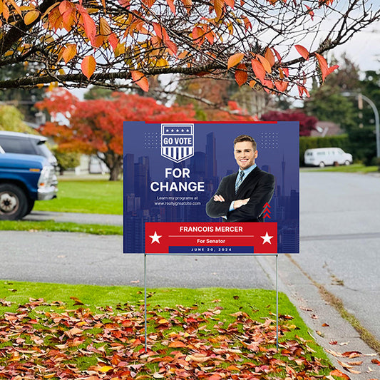 State Political - Go Vote For Senator